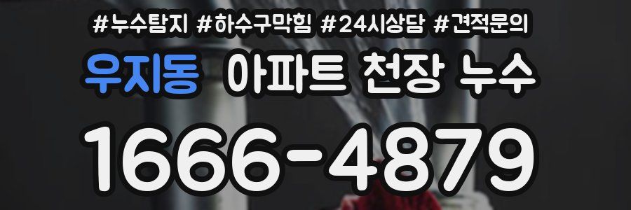 우지동 아파트 천장 누수