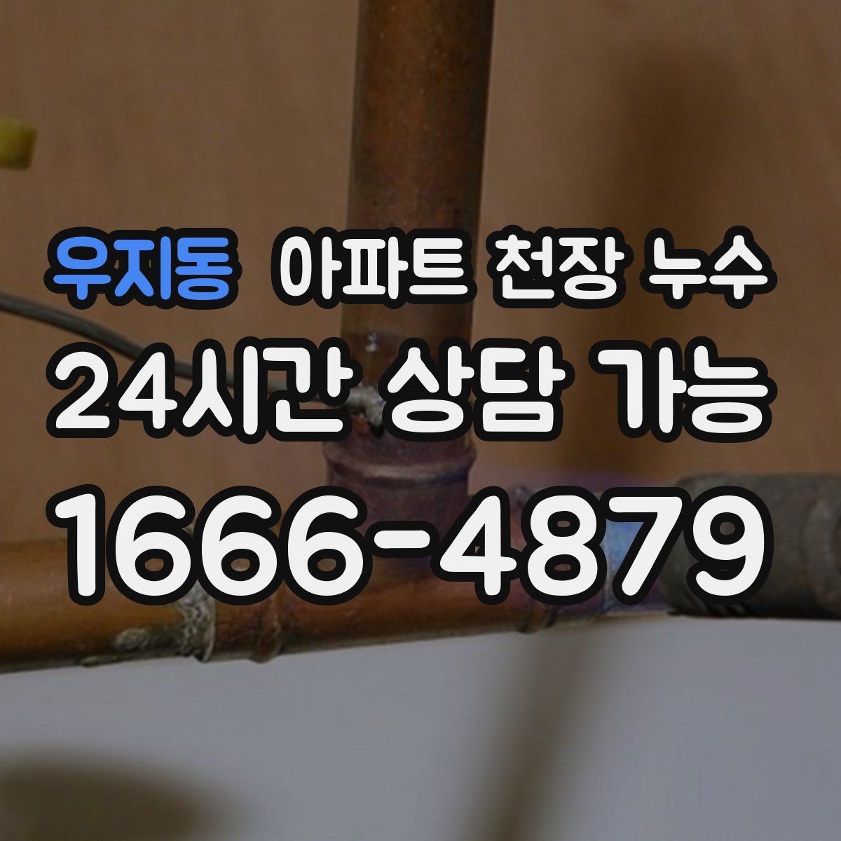 우지동 아파트 천장 누수