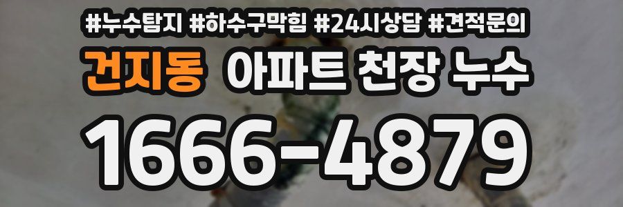 건지동 아파트 천장 누수