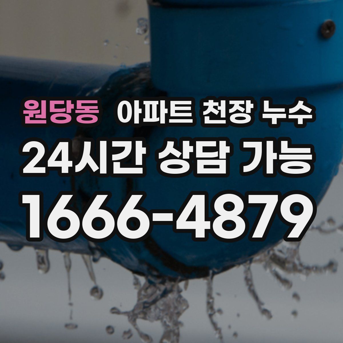 원당동 아파트 천장 누수