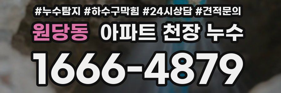 원당동 아파트 천장 누수