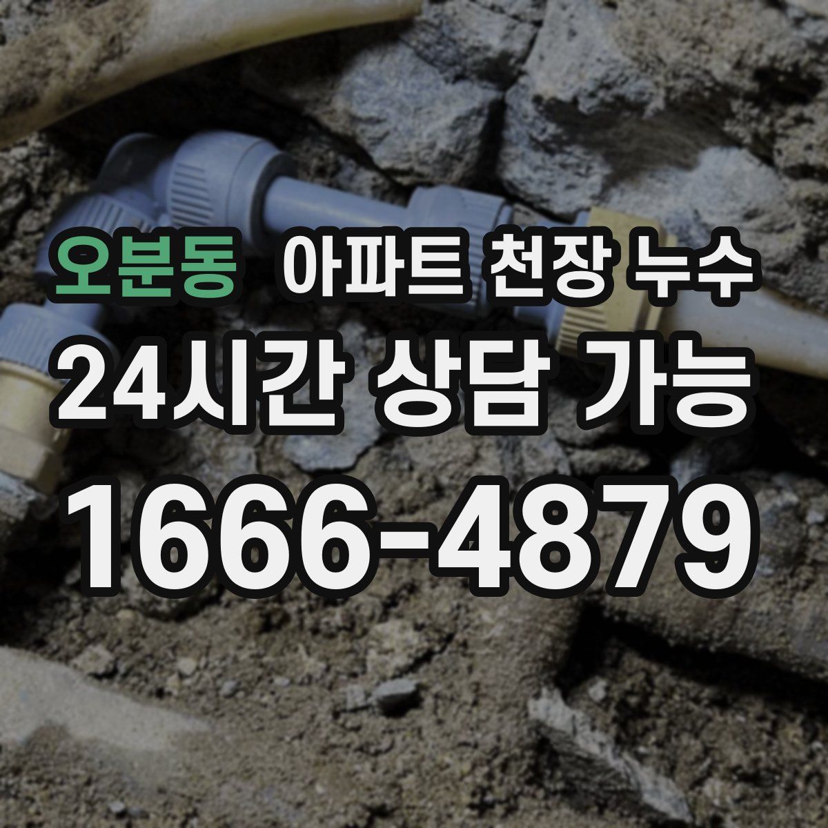 오분동 아파트 천장 누수