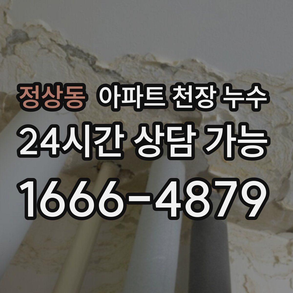 정상동 아파트 천장 누수