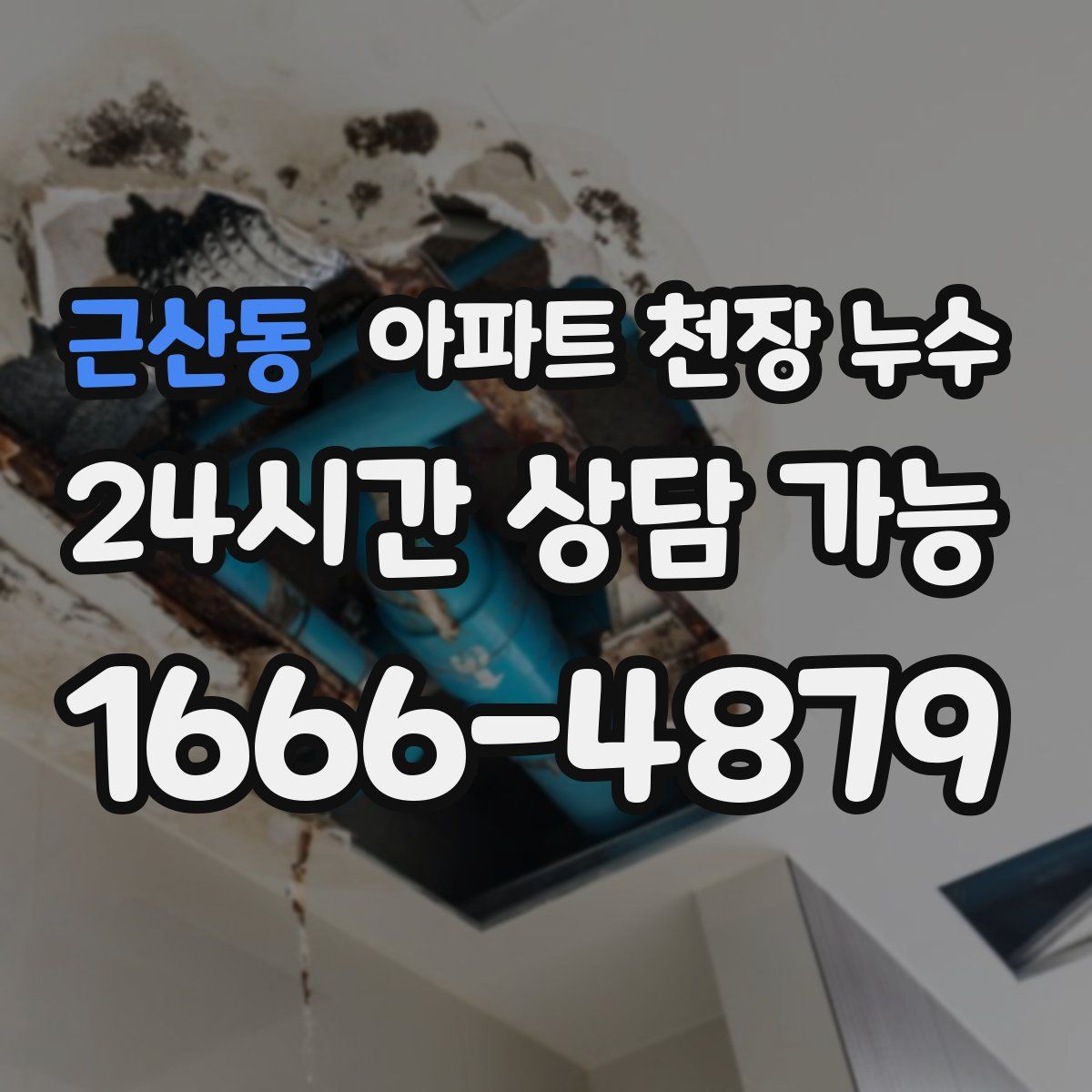 근산동 아파트 천장 누수