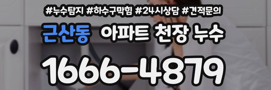 근산동 아파트 천장 누수