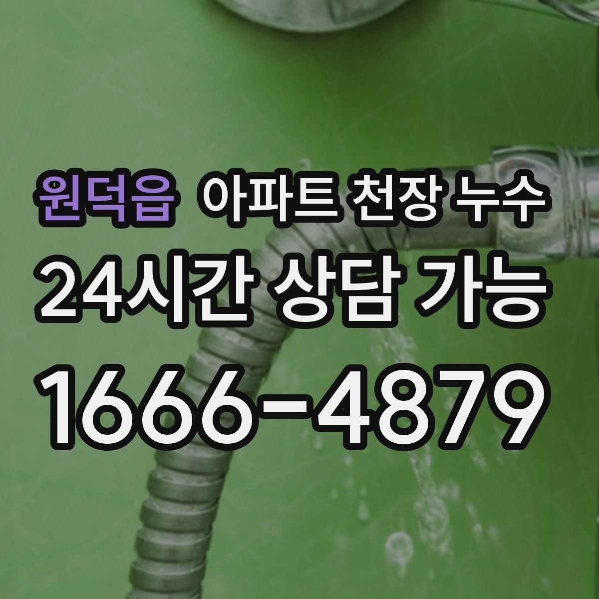 원덕읍 아파트 천장 누수