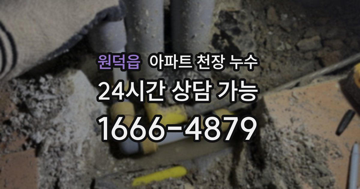 원덕읍 아파트 천장 누수