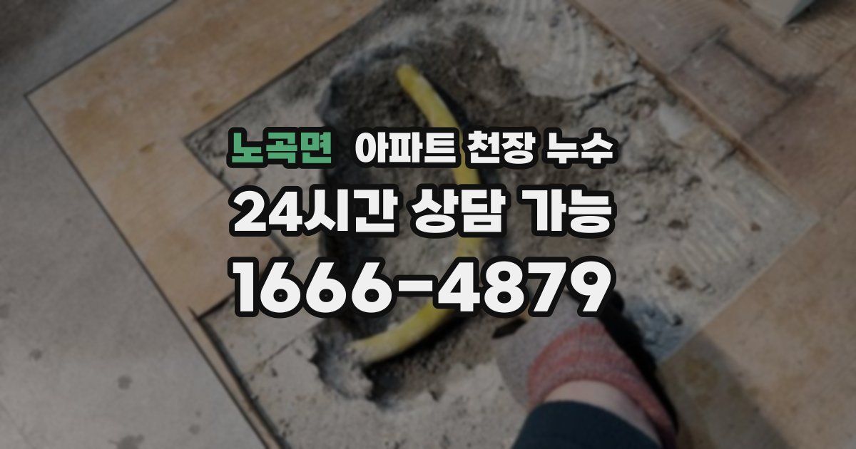 노곡면 아파트 천장 누수