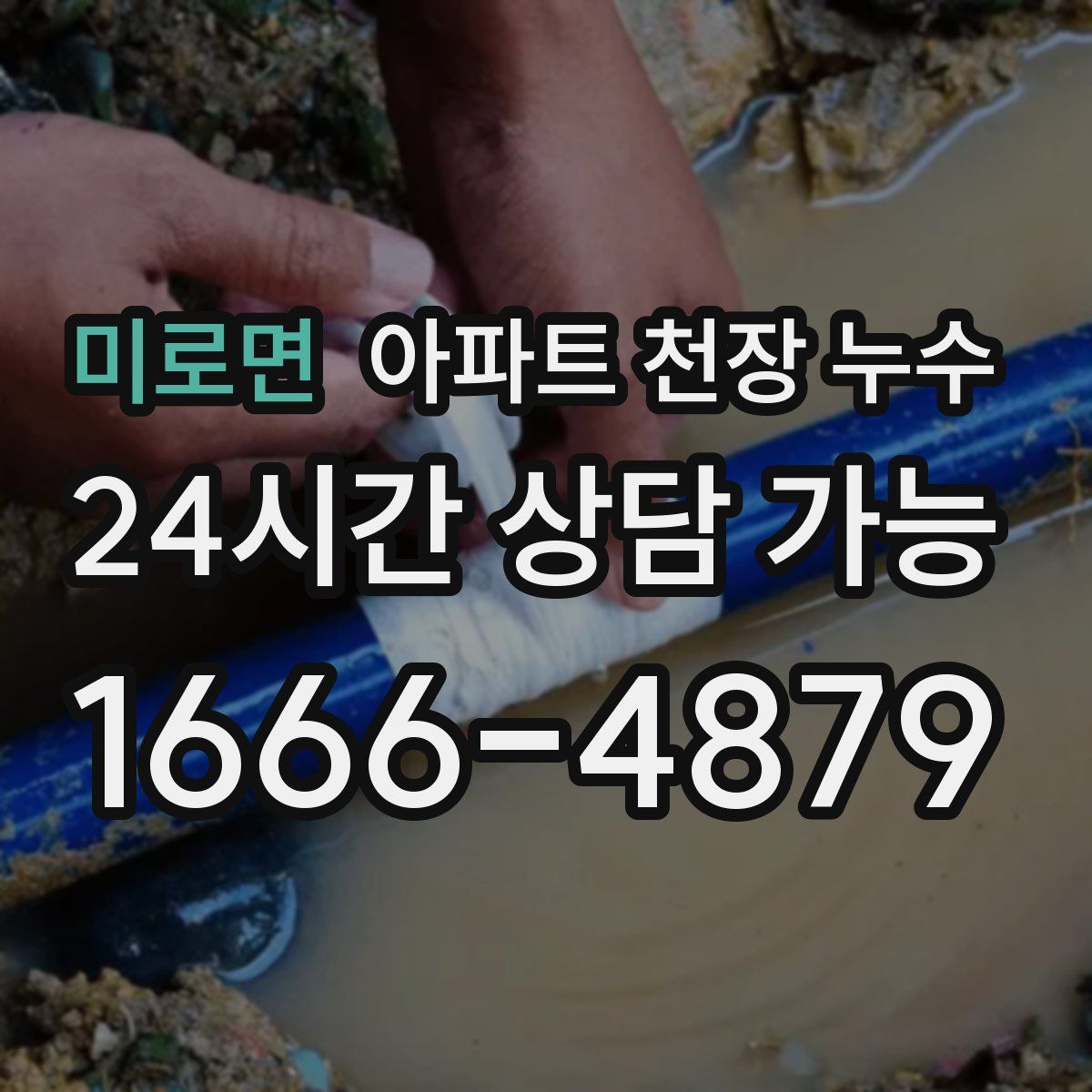 미로면 아파트 천장 누수