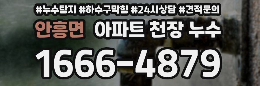안흥면 아파트 천장 누수