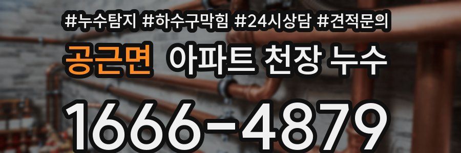 공근면 아파트 천장 누수