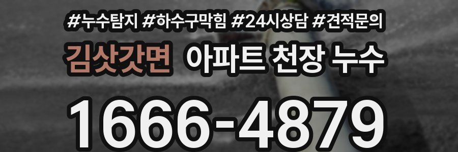 김삿갓면 아파트 천장 누수