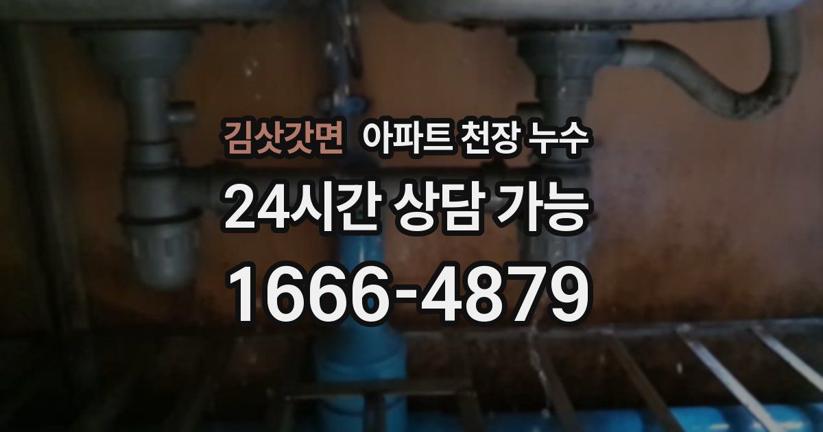 김삿갓면 아파트 천장 누수