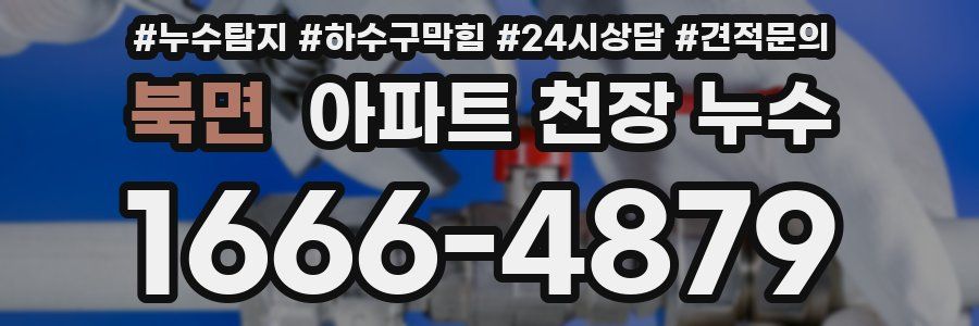 북면 아파트 천장 누수