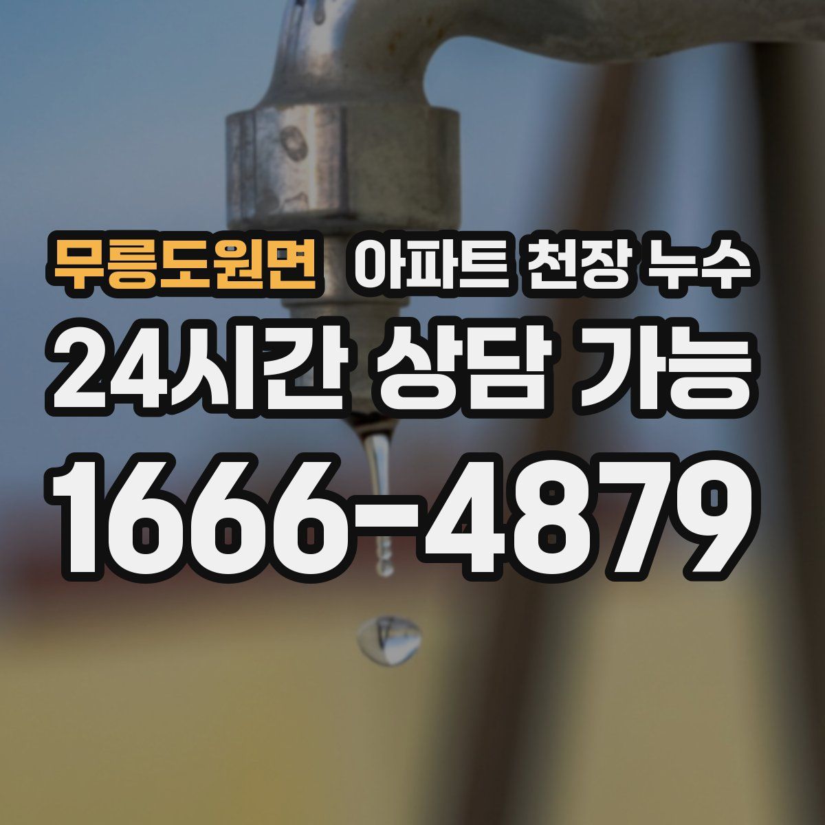 무릉도원면 아파트 천장 누수