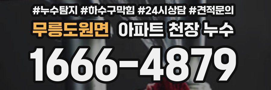 무릉도원면 아파트 천장 누수