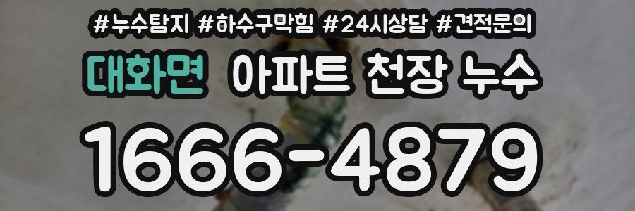 대화면 아파트 천장 누수