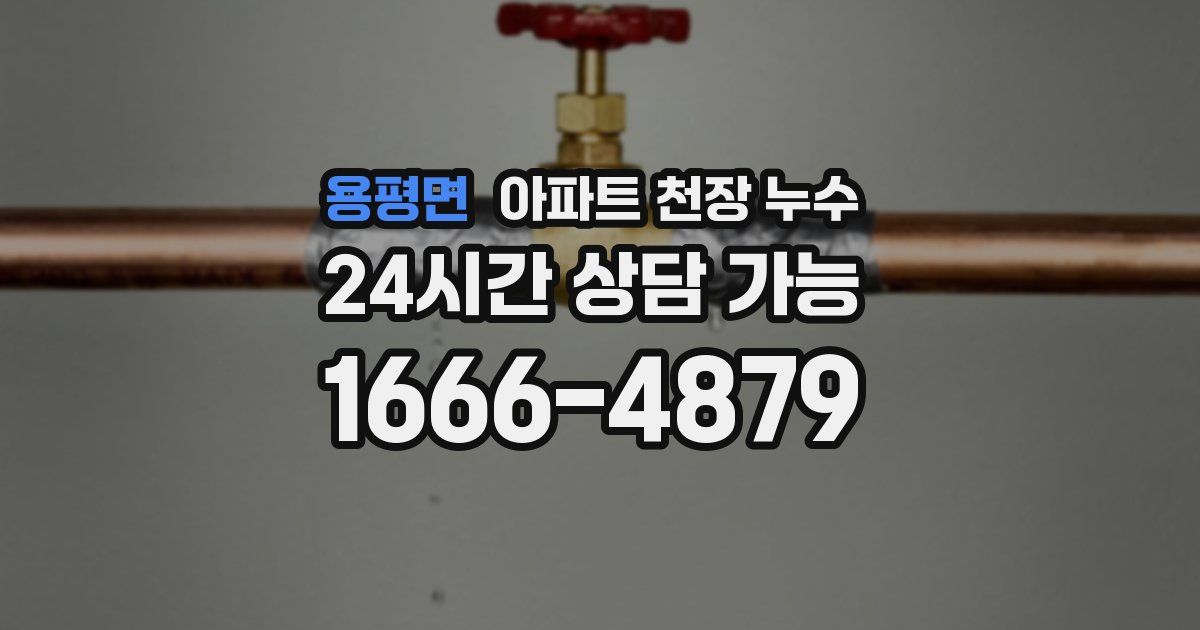 용평면 아파트 천장 누수