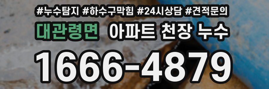 대관령면 아파트 천장 누수