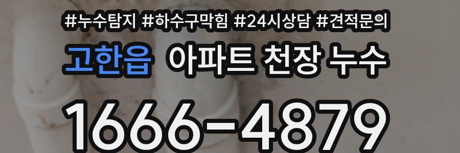 고한읍 아파트 천장 누수