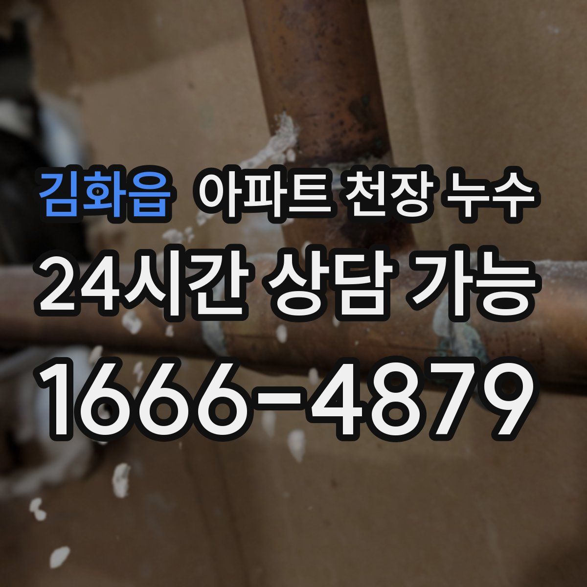 김화읍 아파트 천장 누수
