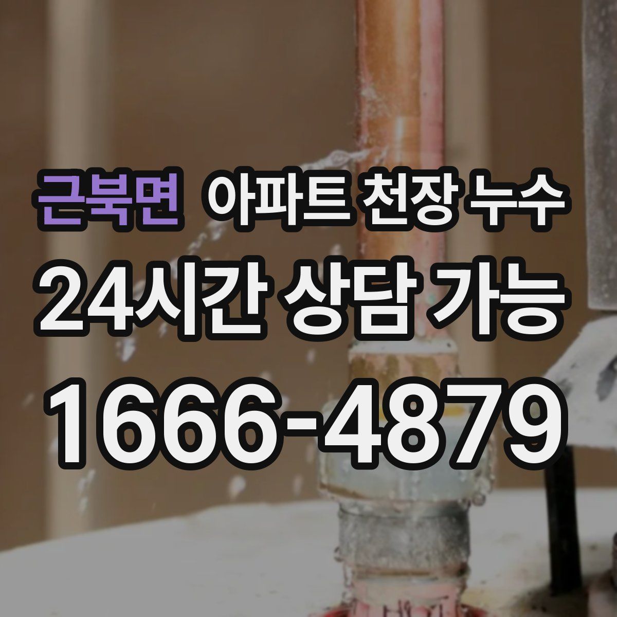 근북면 아파트 천장 누수