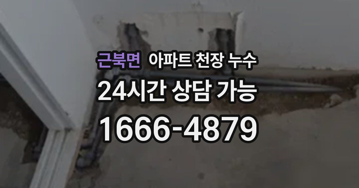 근북면 아파트 천장 누수