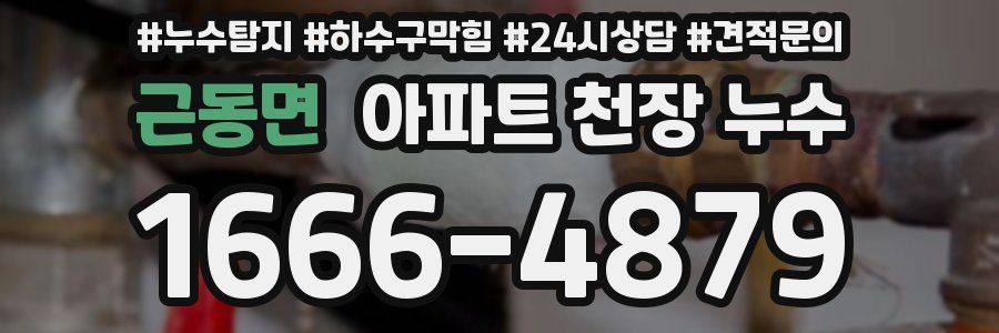 근동면 아파트 천장 누수