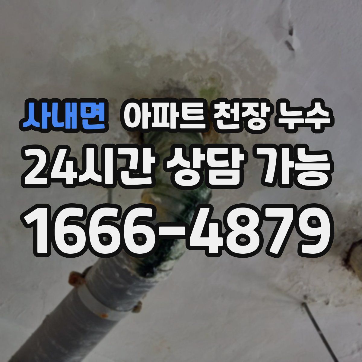 사내면 아파트 천장 누수