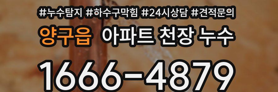 양구읍 아파트 천장 누수