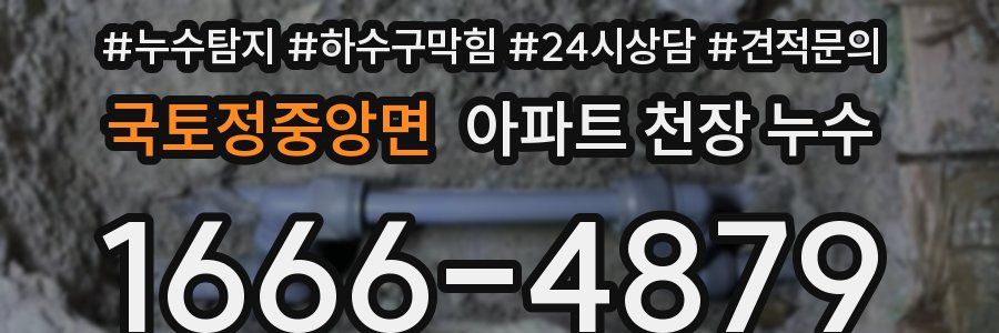 국토정중앙면 아파트 천장 누수