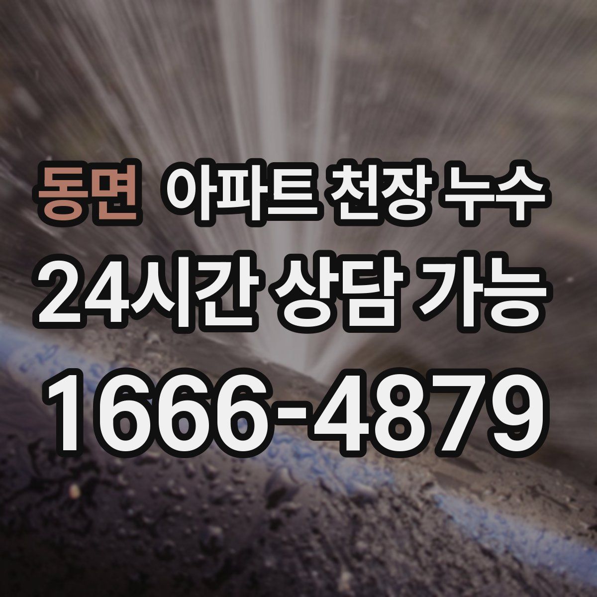 동면 아파트 천장 누수