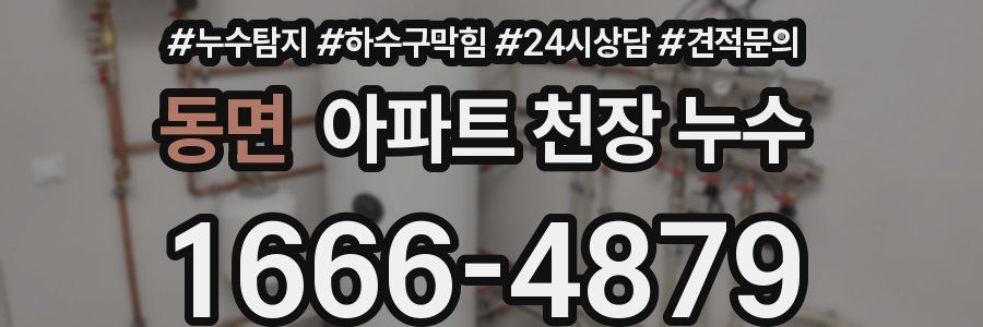 동면 아파트 천장 누수