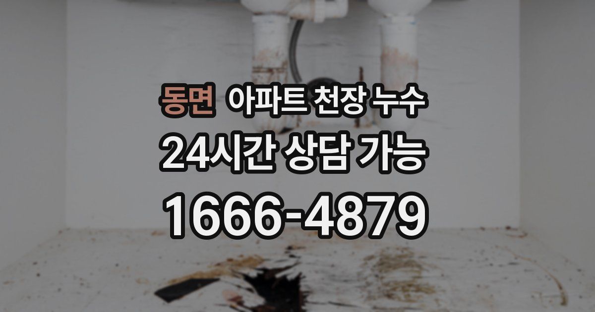 동면 아파트 천장 누수