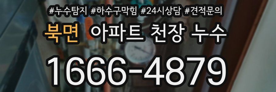 북면 아파트 천장 누수