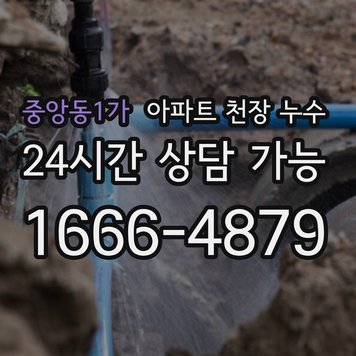 중앙동1가 아파트 천장 누수