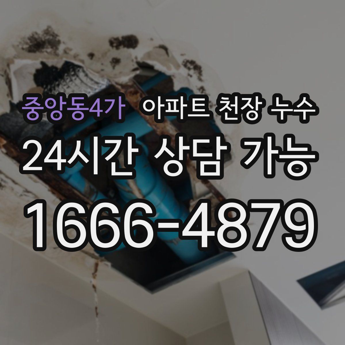 중앙동4가 아파트 천장 누수