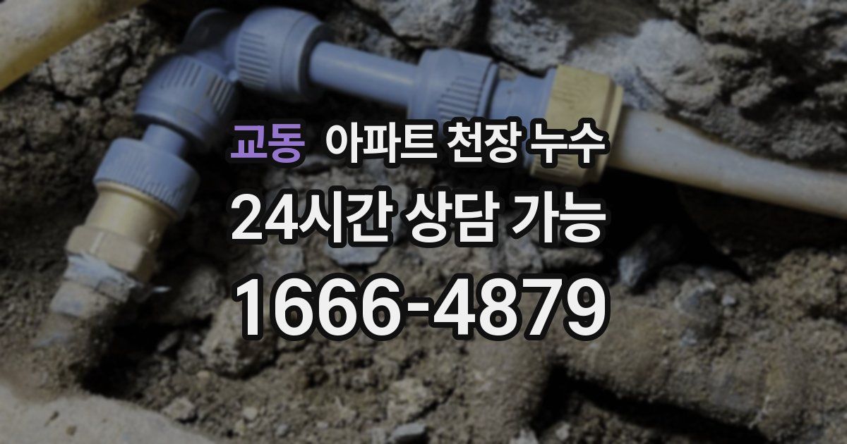교동 아파트 천장 누수
