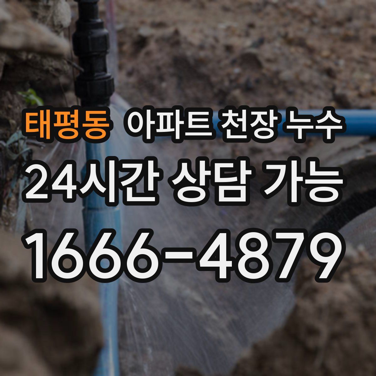 태평동 아파트 천장 누수