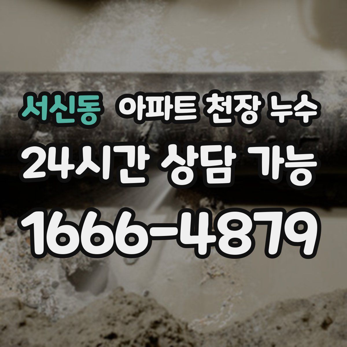 서신동 아파트 천장 누수