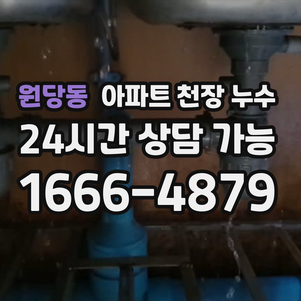 원당동 아파트 천장 누수