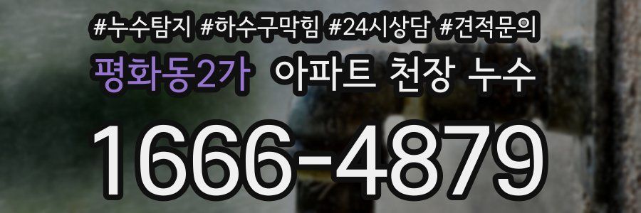 평화동2가 아파트 천장 누수