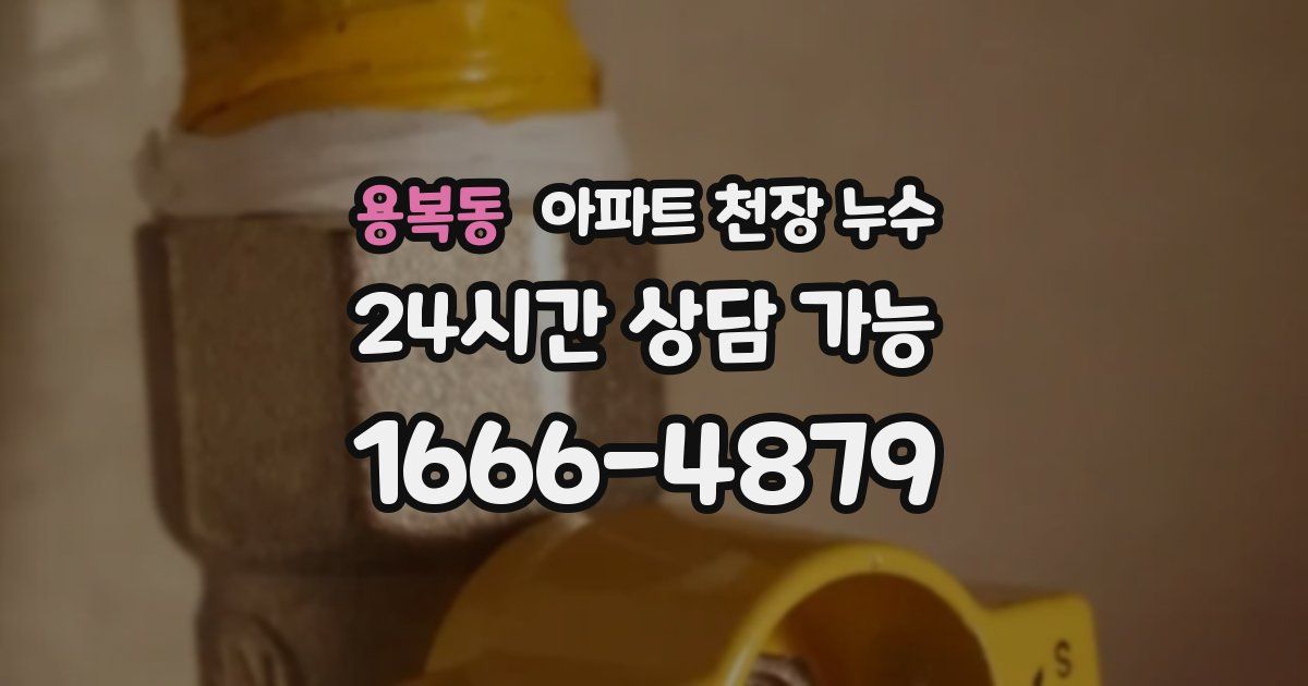용복동 아파트 천장 누수