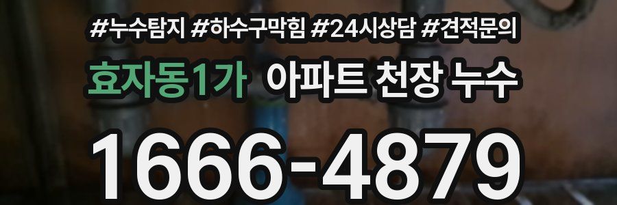 효자동1가 아파트 천장 누수