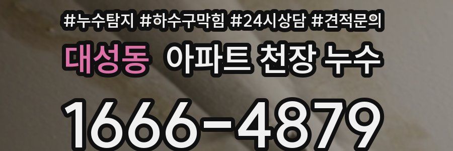 대성동 아파트 천장 누수