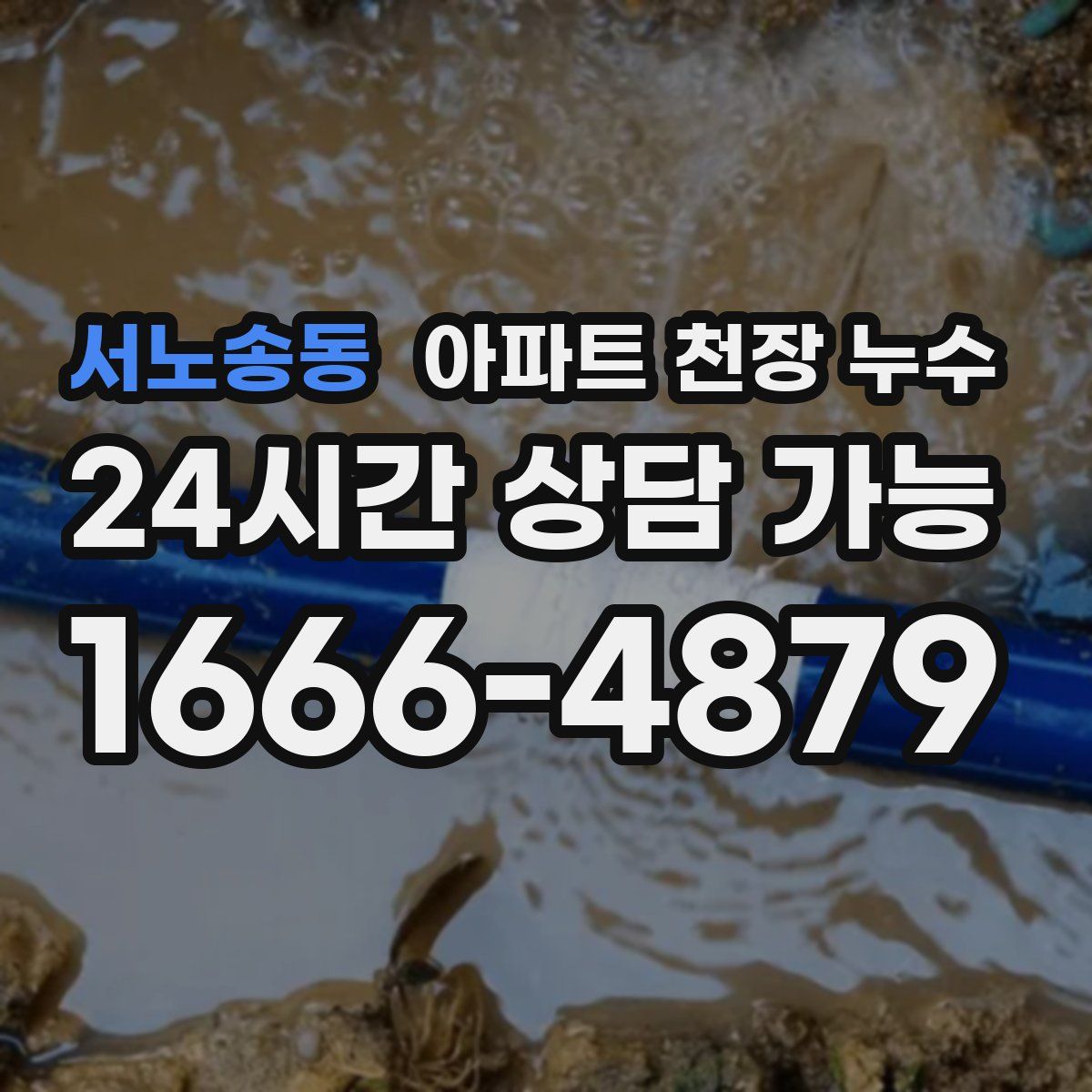 서노송동 아파트 천장 누수