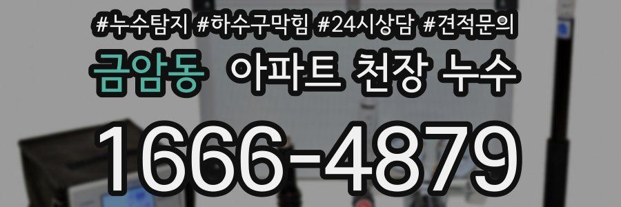 금암동 아파트 천장 누수