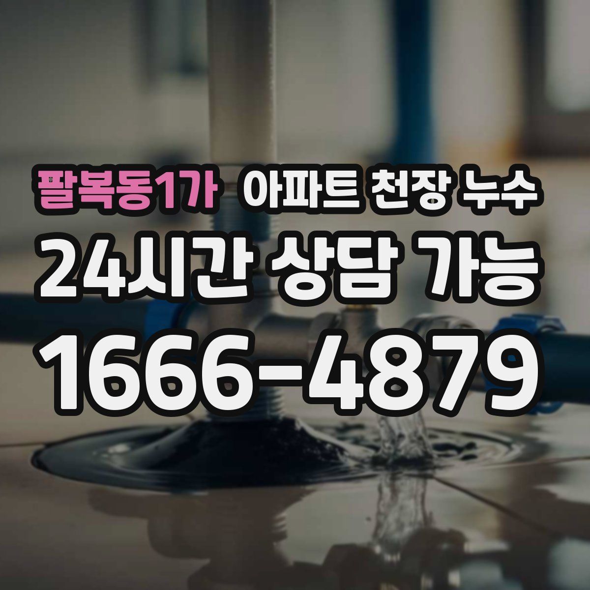 팔복동1가 아파트 천장 누수