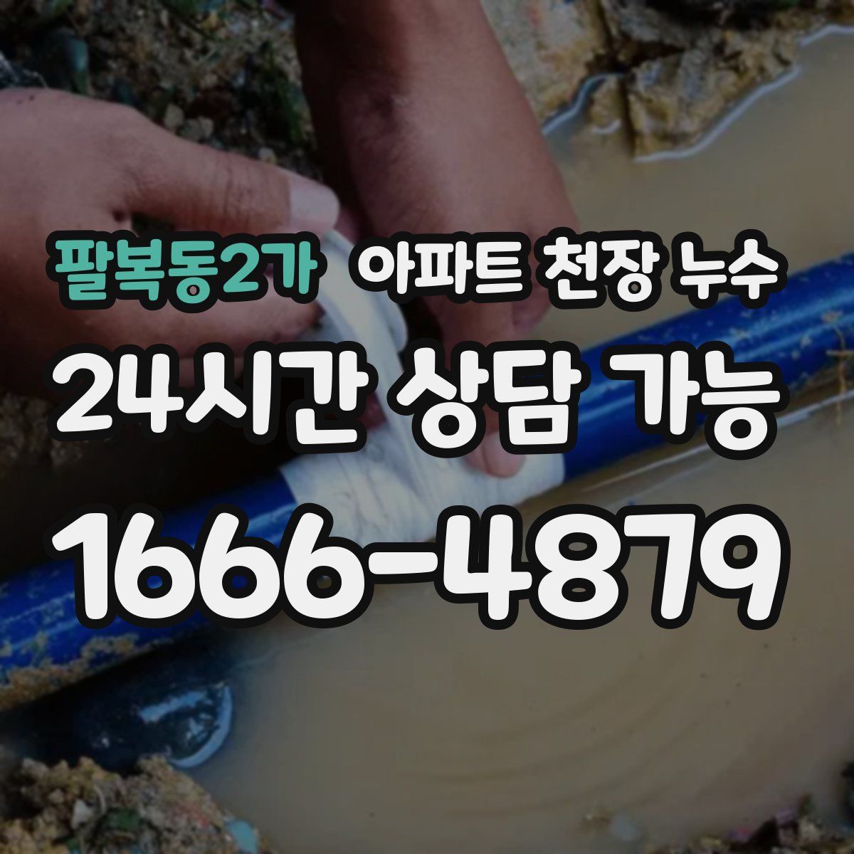 팔복동2가 아파트 천장 누수