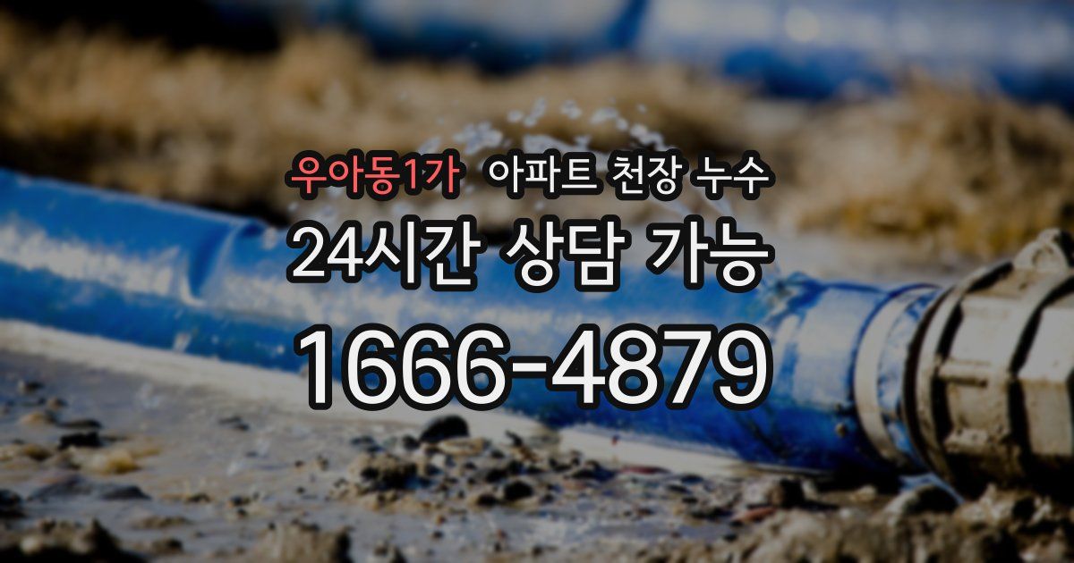 우아동1가 아파트 천장 누수